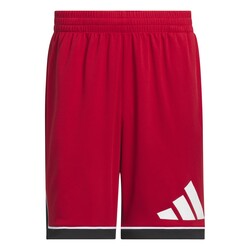 ADİDAS BOS SHORT ERKEK ŞORT JN4731 - ADİDAS