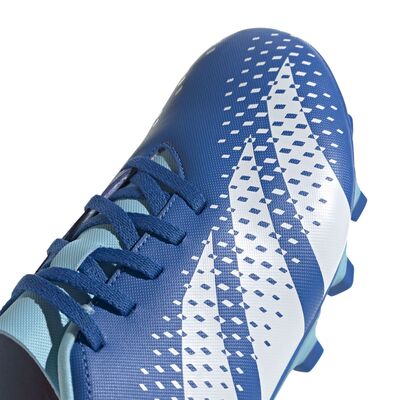 ADİDAS PREDATOR ACCURACY.4 KRAMPON GZ0010 - 7