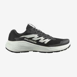 SALOMON ALPHAGLIDE ERKEK PATİKA KOŞUSU AYAKKABISI L47801000 - SALOMON