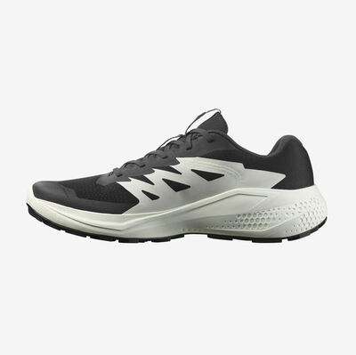 SALOMON ALPHAGLIDE ERKEK PATİKA KOŞUSU AYAKKABISI L47801000 - 2
