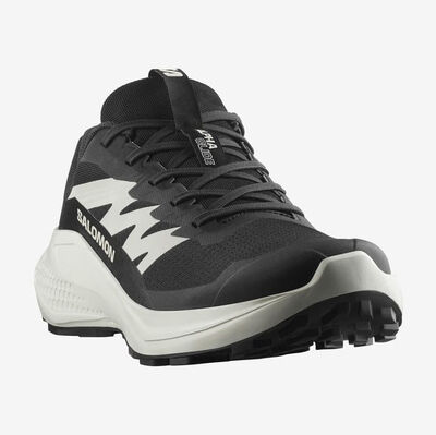 SALOMON ALPHAGLIDE ERKEK PATİKA KOŞUSU AYAKKABISI L47801000 - 4