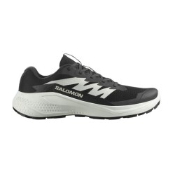 SALOMON ALPHAGLIDE ERKEK PATİKA KOŞUSU AYAKKABISI L47801000 - SALOMON