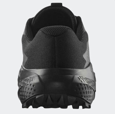 SALOMON ALPHAGLIDE ERKEK PATİKA KOŞUSU AYAKKABISI L47948300 - 3