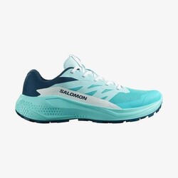 SALOMON ALPHAGLIDE W KADIN PATİKA KOŞUSU AYAKKABISI L47801600 - SALOMON