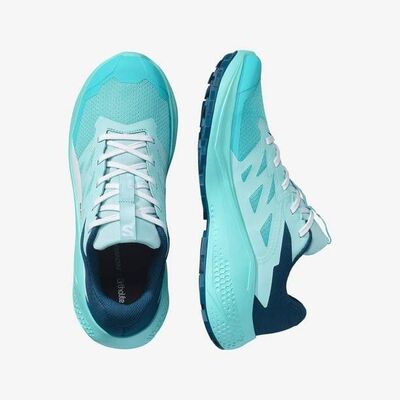SALOMON ALPHAGLIDE W KADIN PATİKA KOŞUSU AYAKKABISI L47801600 - 2