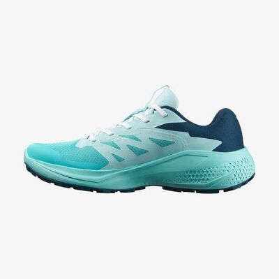 SALOMON ALPHAGLIDE W KADIN PATİKA KOŞUSU AYAKKABISI L47801600 - 3