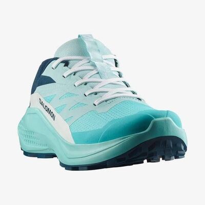 SALOMON ALPHAGLIDE W KADIN PATİKA KOŞUSU AYAKKABISI L47801600 - 4