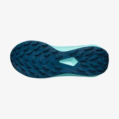 SALOMON ALPHAGLIDE W KADIN PATİKA KOŞUSU AYAKKABISI L47801600 - 6