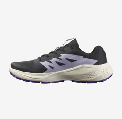SALOMON ALPHAGLIDE W KADIN PATİKA KOŞUSU AYAKKABISI L47801800 - 2