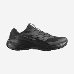 SALOMON ALPHAGLIDE W KADIN PATİKA KOŞUSU AYAKKABISI L47948500 - SALOMON