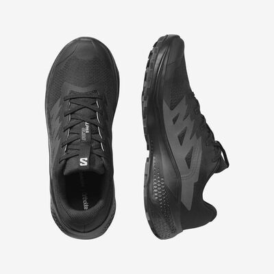 SALOMON ALPHAGLIDE W KADIN PATİKA KOŞUSU AYAKKABISI L47948500 - 2