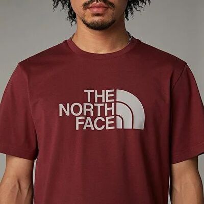 THE NORTH FACE M SS EASY TEE ERKEK TİŞÖRT NF0A8A6C58C1 - 4
