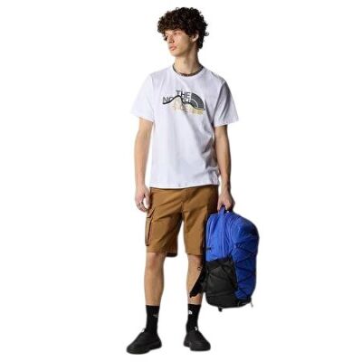 THE NORTH FACE M SS MOUNTAIN LINE TEE ERKEK TİŞÖRT NF0A87NTFN41 - 2